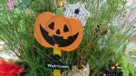 p[11(y)fÓ̂m点🎃